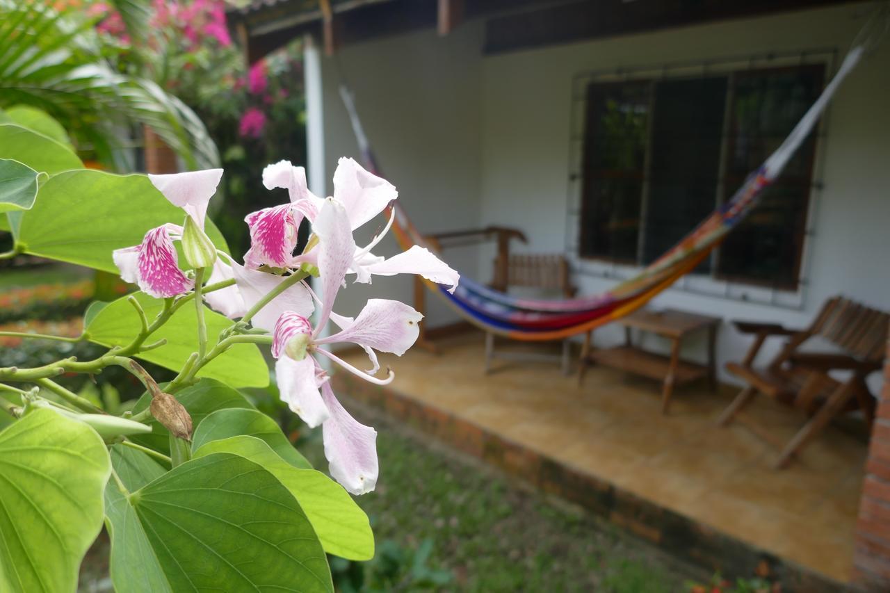 Hotel Escape Caribeno Puerto Viejo de Talamanca Exteriér fotografie