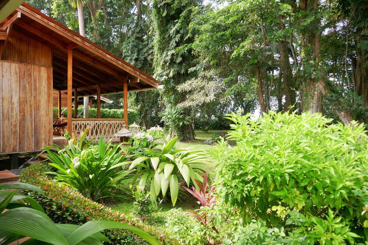 Hotel Escape Caribeno Puerto Viejo de Talamanca Exteriér fotografie